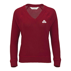 Super Soft V-Neck Sweater